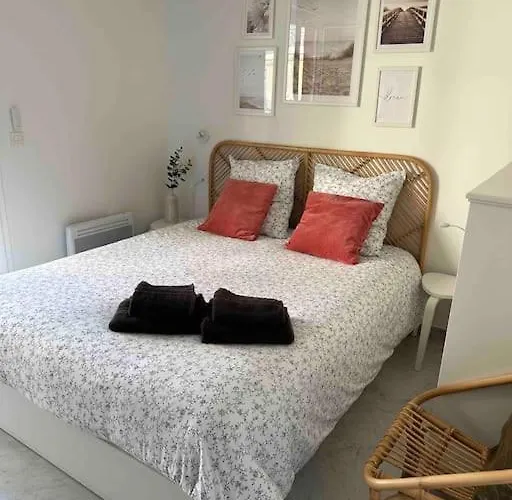 Apartment Victoria Palace - 2 Pieces - Piscine - Parking *